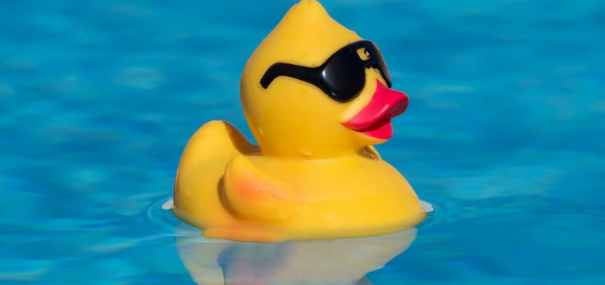 Yellow rubber duck with glasses floating